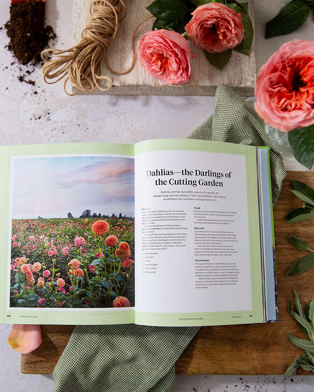 Martha Stewart's Gardening Handbook: The Essential Guide to Designing, Planting, and Growing