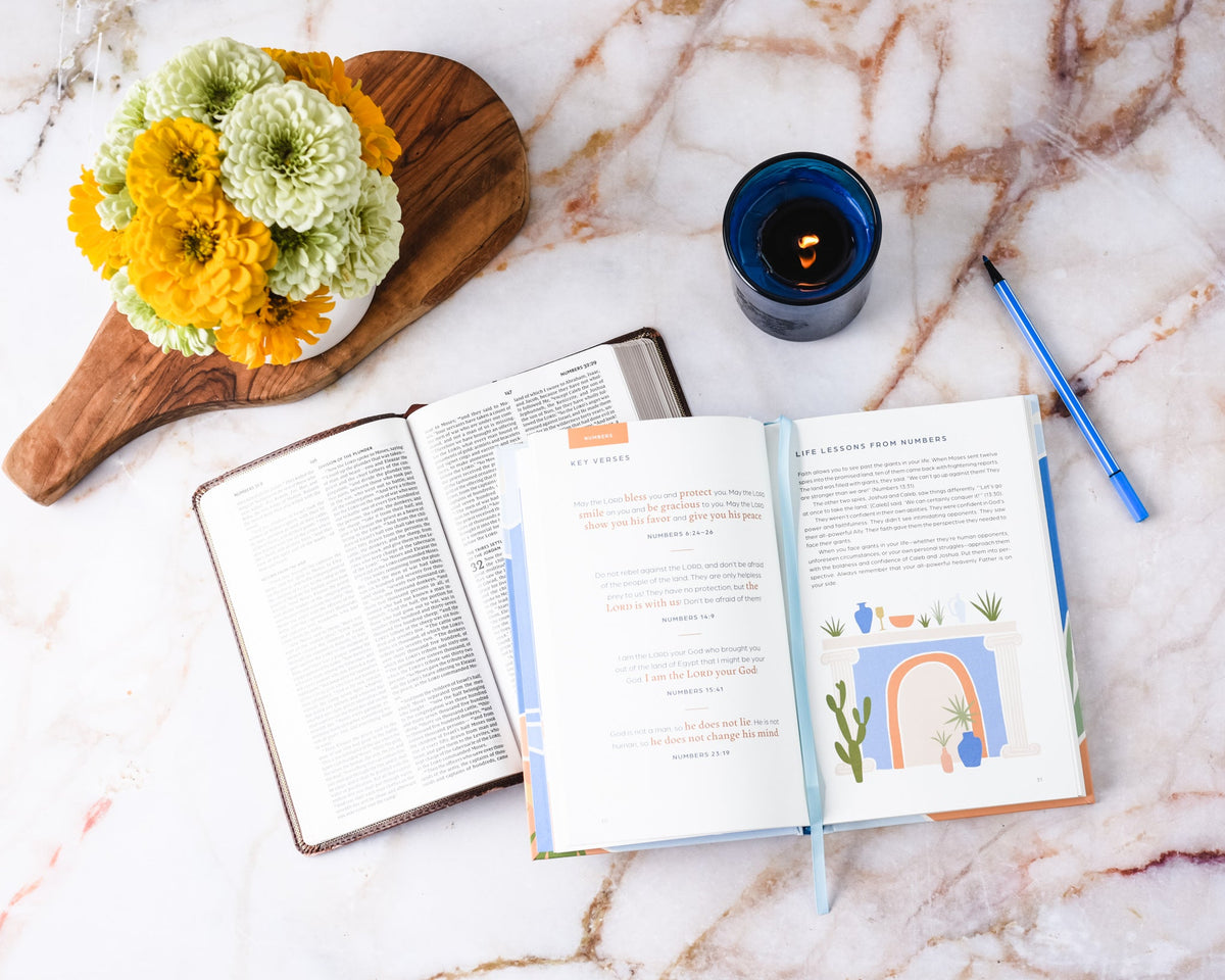 5 Minutes with Every Book of the Bible—New Testament: A Quick Reference Bible Study Guide to All 27 Books