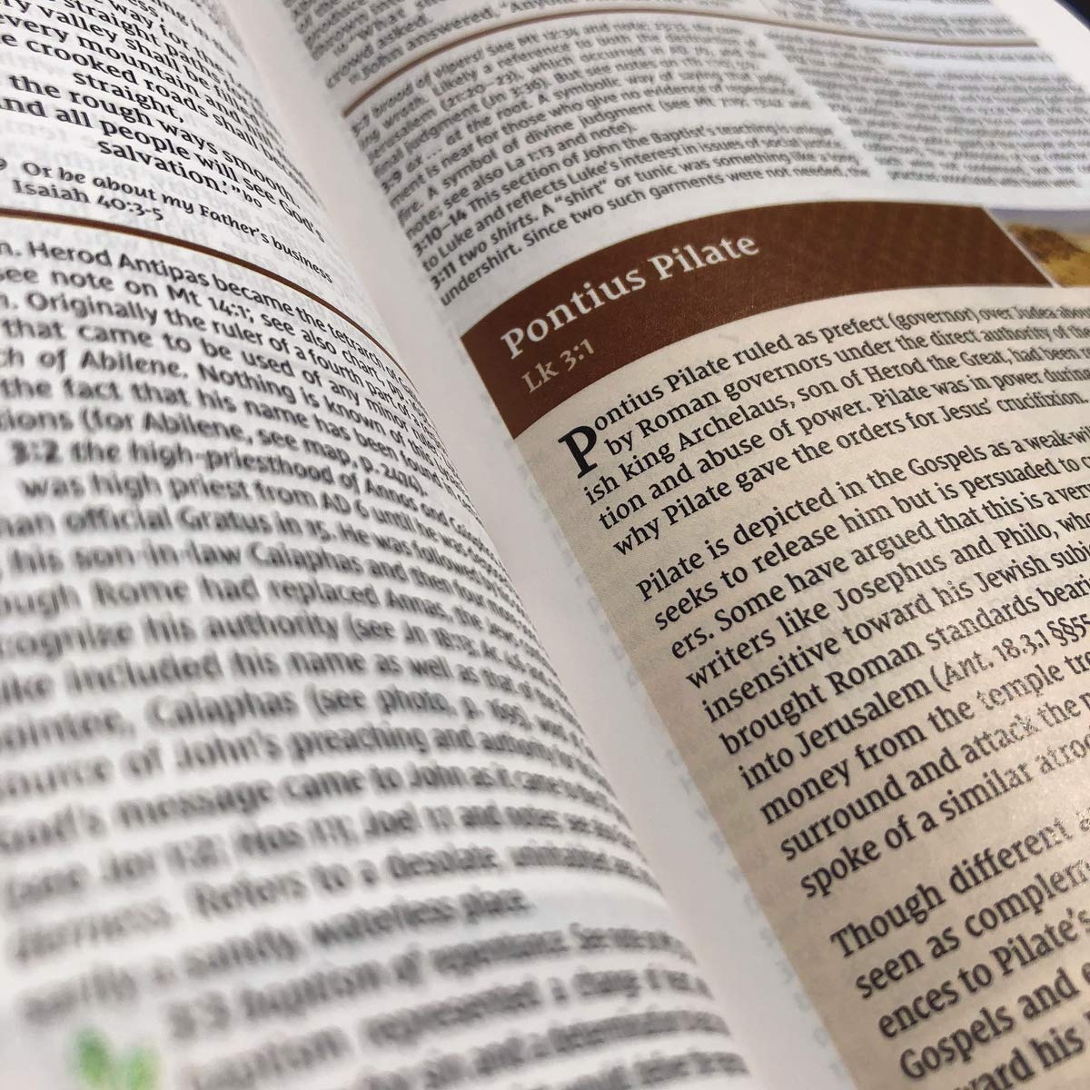 NIV Study Bible, Fully Revised Edition, Red Letter, Comfort Print