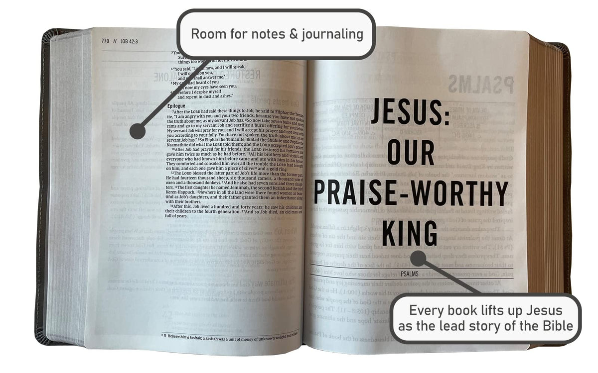 The Jesus Bible Artist Edition, ESV