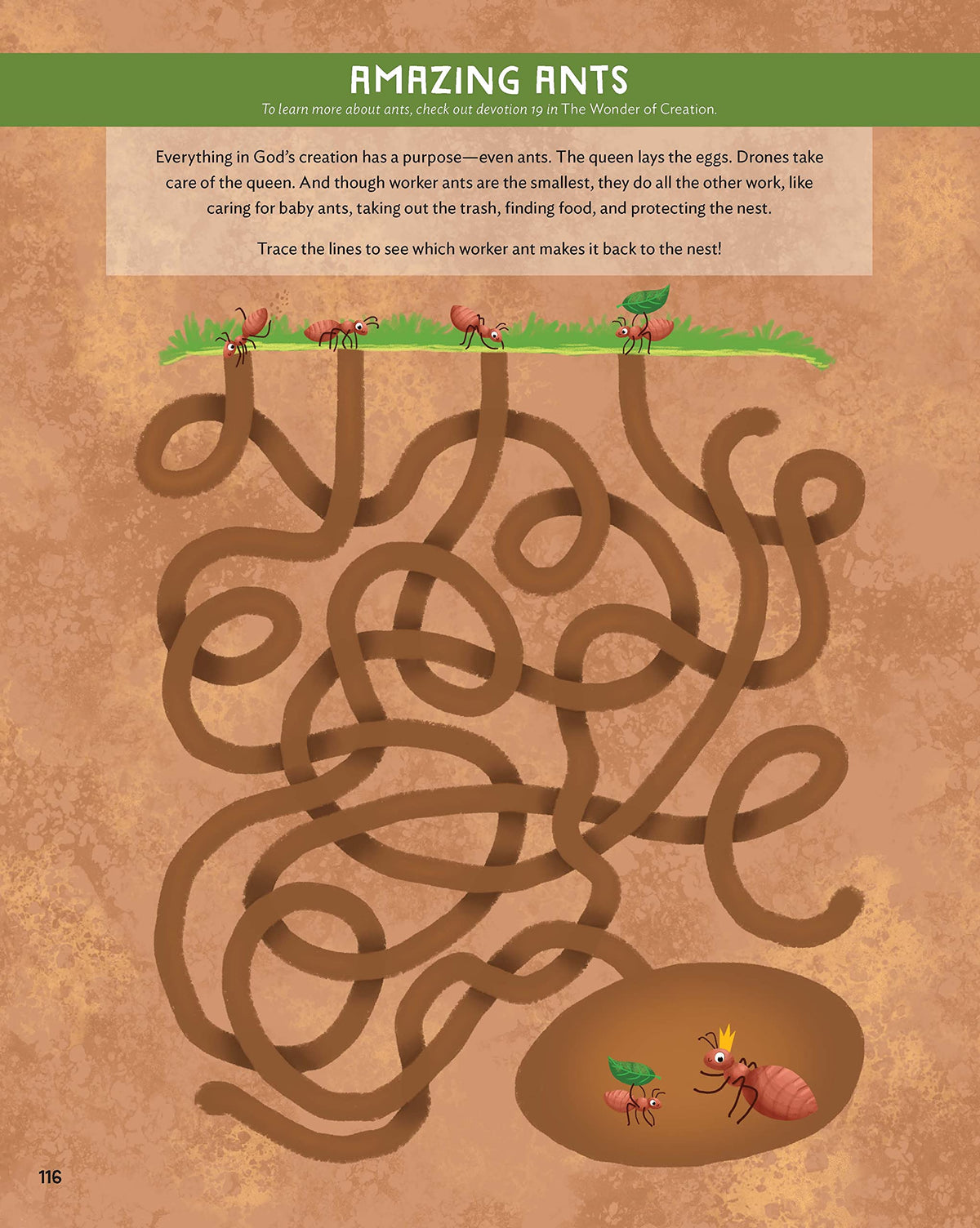 Indescribable Activity Book for Kids: 150+ Mind-Stretching and Faith-Building Puzzles, Crosswords, STEM Experiments, and More About God and Science!
