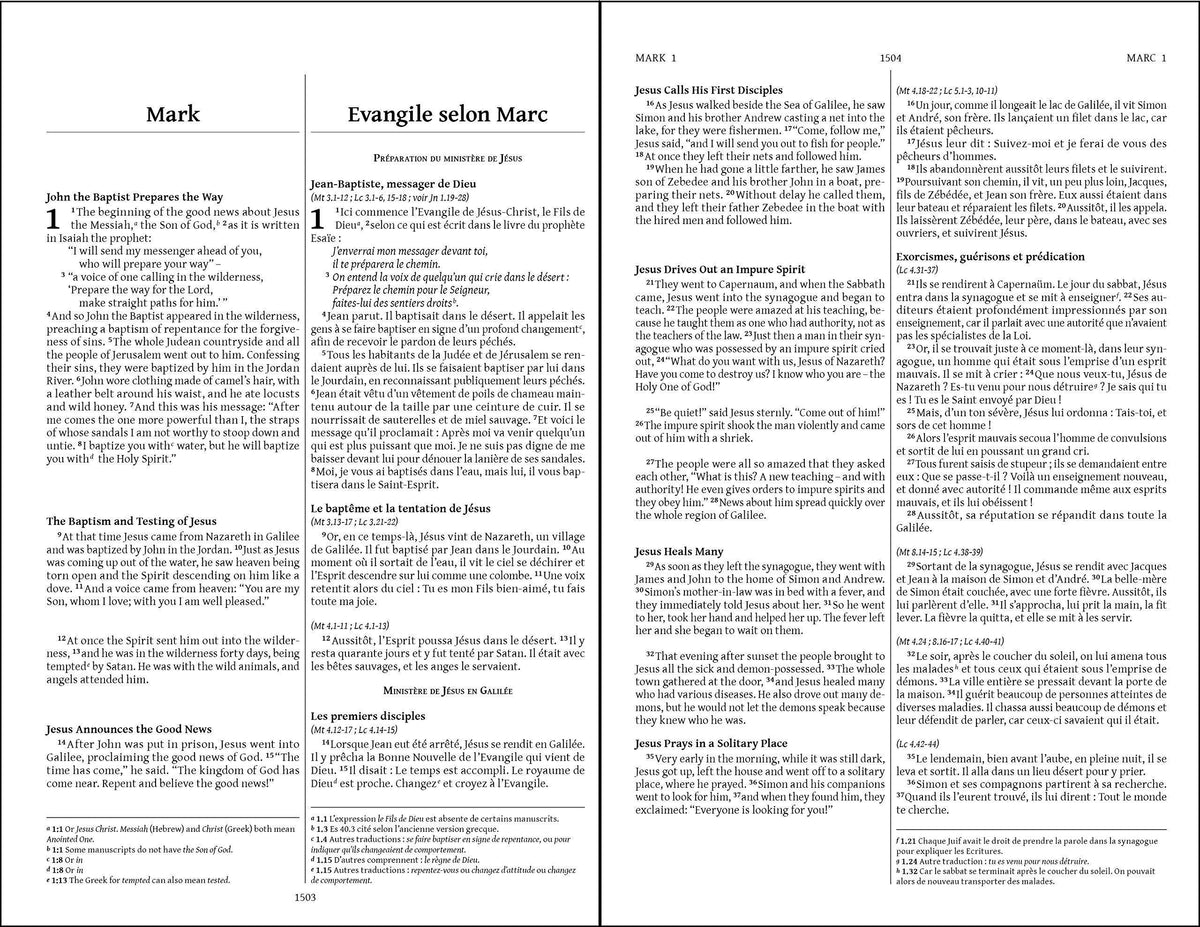 Semeur, NIV, French/English Bilingual Bible