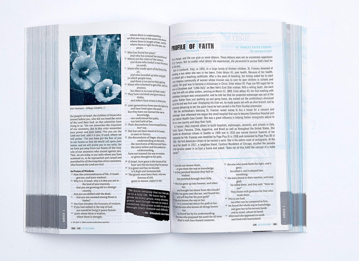NRSV, LIVE, Catholic Edition, Youth Bible, Paperback: Youth Bible, Catholic Edition