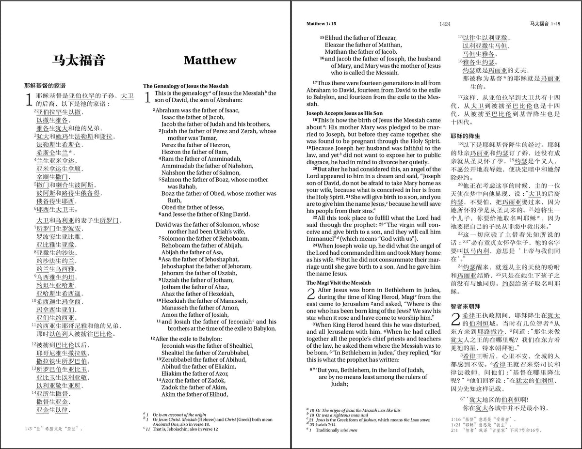 CCB (Simplified Script), NIV, Chinese/English Bilingual Bible