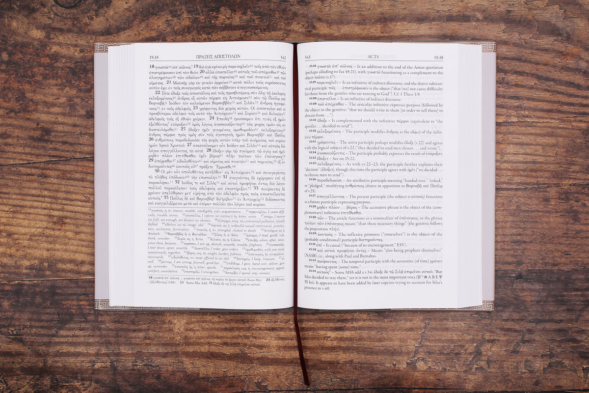 The Greek New Testament Study Bible
