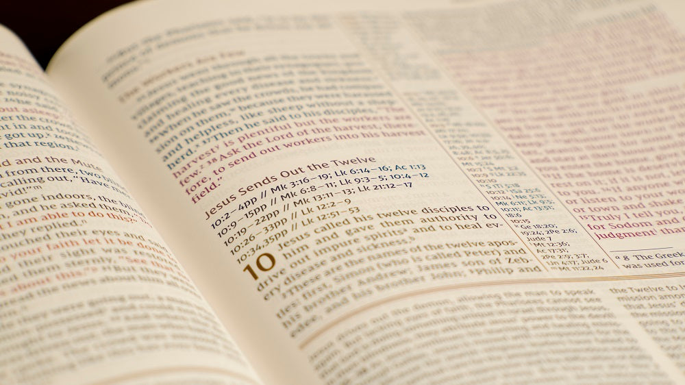 NIV, The Grace and Truth Study Bible, Large Print, Red Letter, Comfort Print