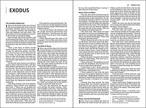 NIV, Thinline Bible, Large Print, Comfort Print