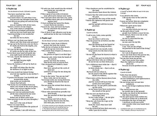 NIV, Thinline Bible, Large Print, Comfort Print