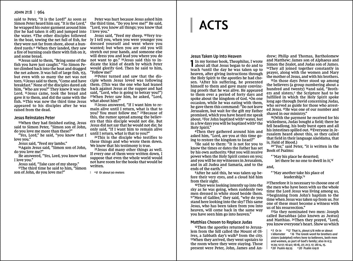 NIV, Thinline Bible, Large Print, Comfort Print