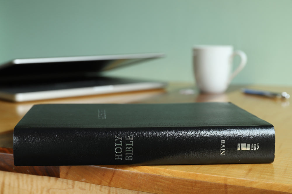 NIV, Reference Bible, Giant Print, Red Letter Edition, Comfort Print