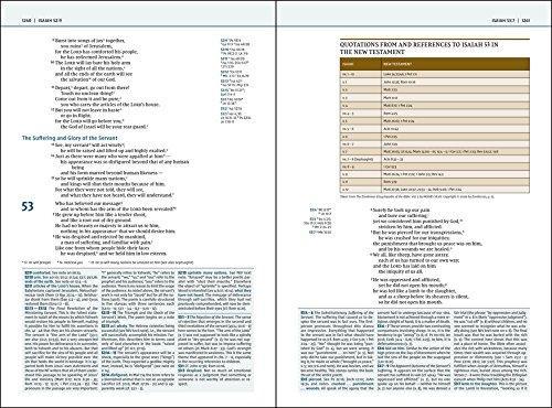 NIV, Biblical Theology Study Bible, Comfort Print: Follow God’s Redemptive Plan as It Unfolds throughout Scripture