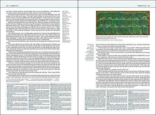NIV, Biblical Theology Study Bible, Comfort Print: Follow God’s Redemptive Plan as It Unfolds throughout Scripture
