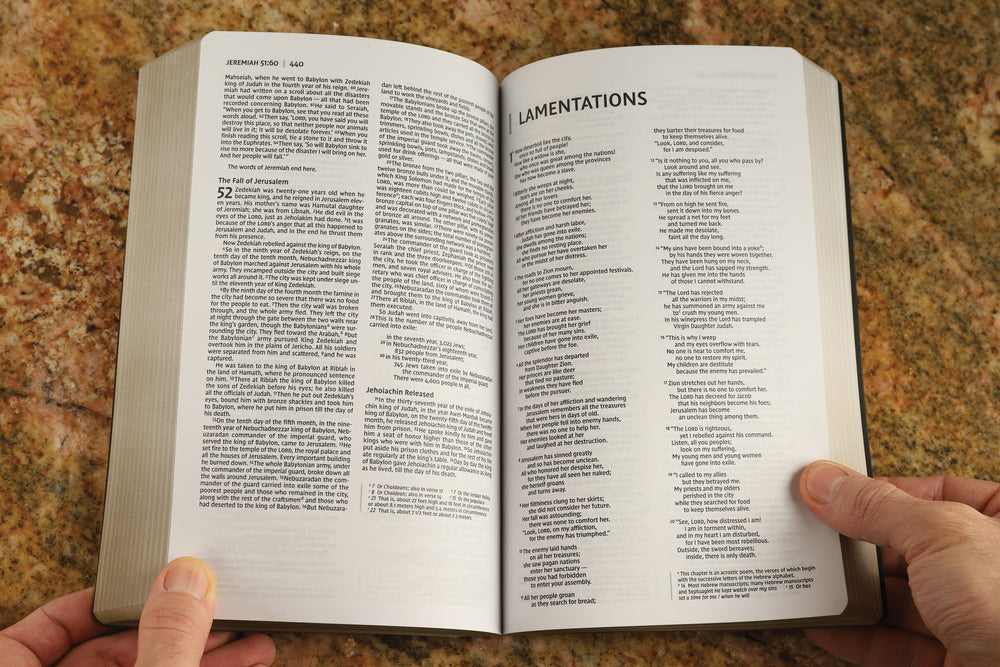 NIV, Holy Bible, Soft Touch Edition, Comfort Print