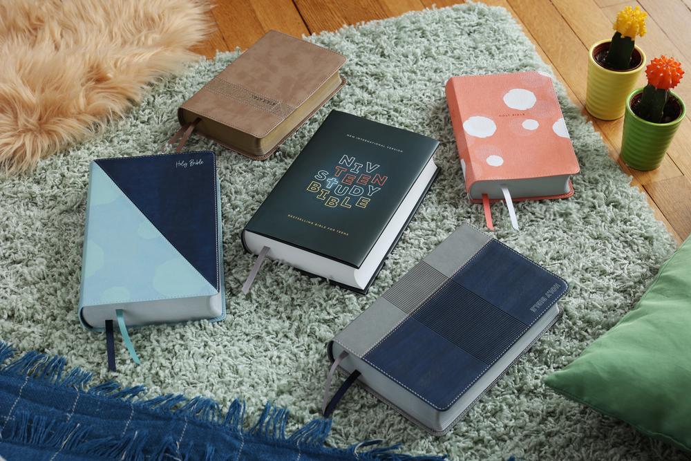 NIV, Teen Study Bible, Compact, Comfort Print