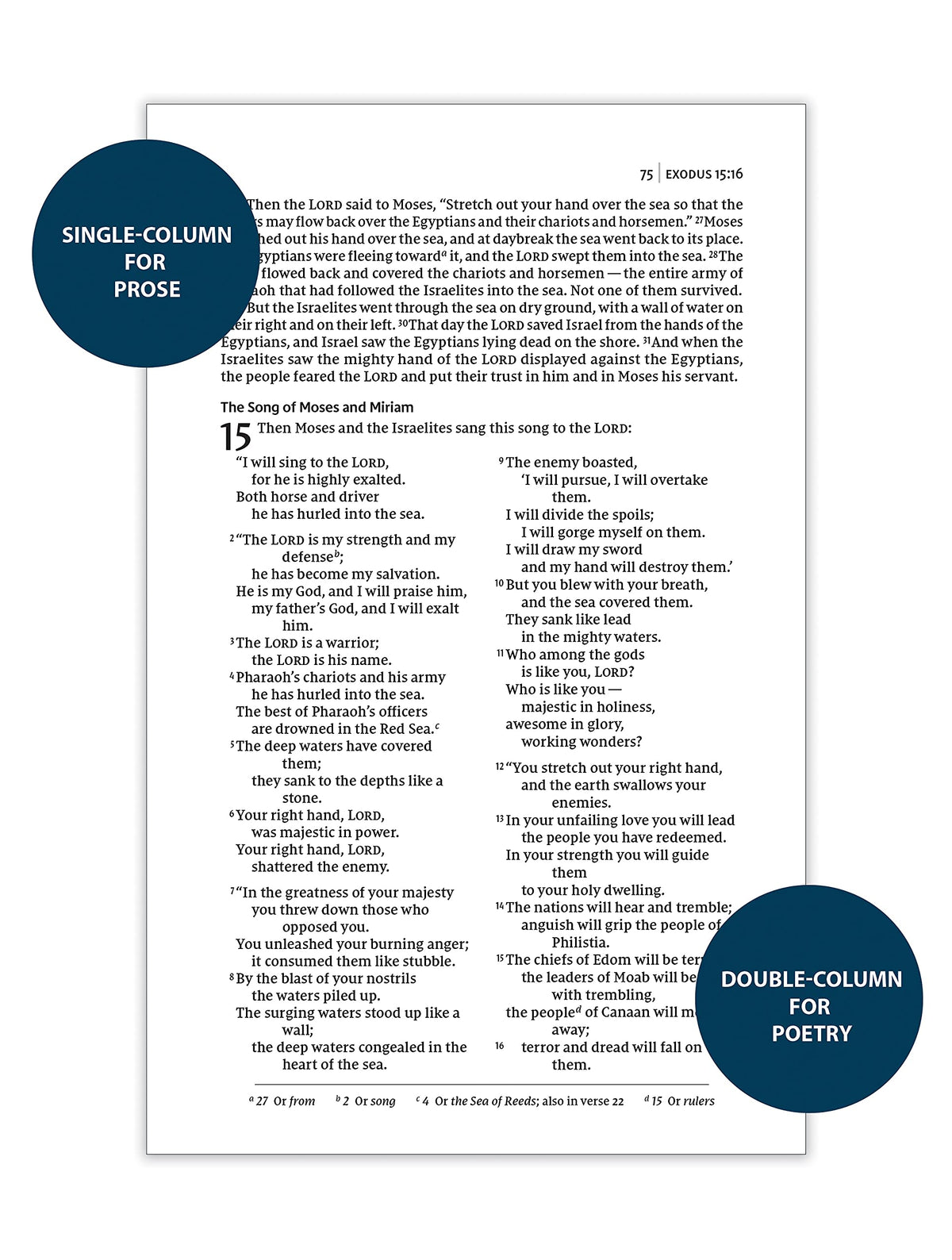 NIV, Thinline Bible, Passaggio Setting, Red Letter Edition, Comfort Print: Elegantly uniting single and double columns into one Passaggio Setting Bible design