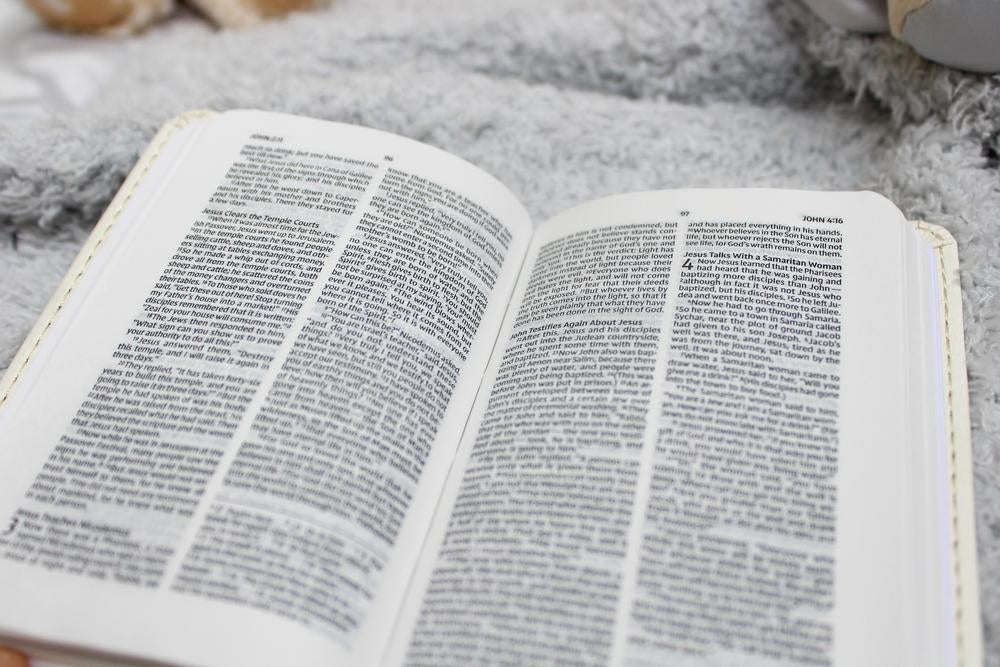 NIV, Tiny Testament Bible, New Testament, Leathersoft, Comfort Print