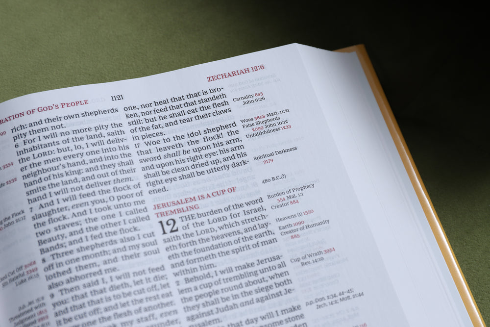KJV, Thompson Chain-Reference Bible, Red Letter, Comfort Print