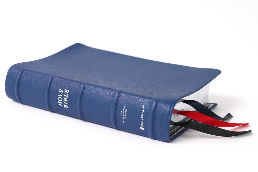 NIV, Side-Column Reference Bible (Deep Study at a Portable Size), Personal Size, Premium Goatskin Leather, Blue, Premier Collection, Art Gilded Edges, Comfort Print