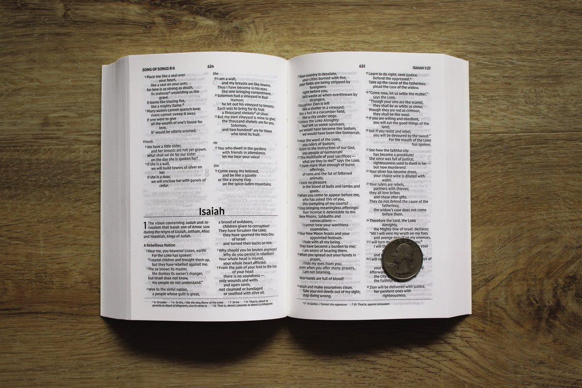 NIV, Holy Bible, Compact, Comfort Print