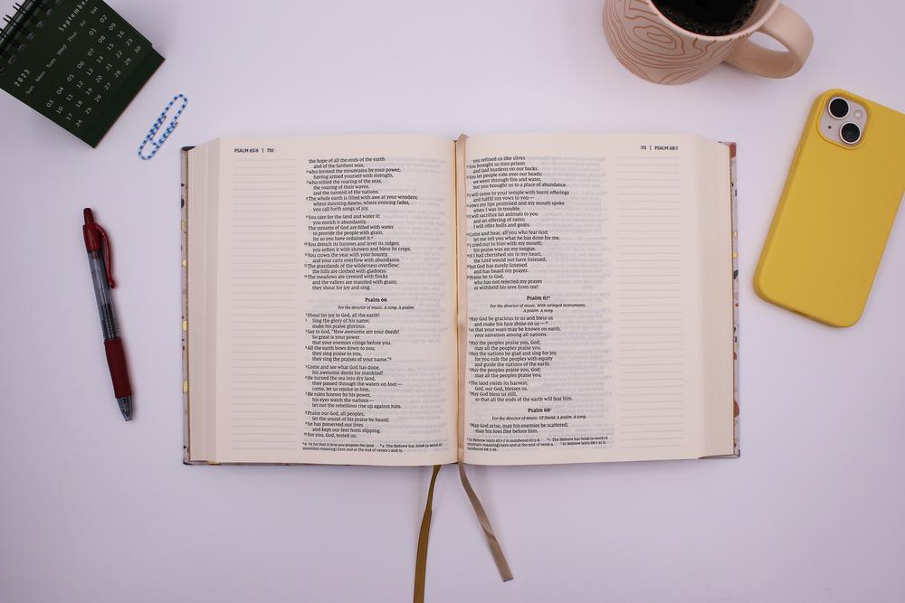 9780310463146