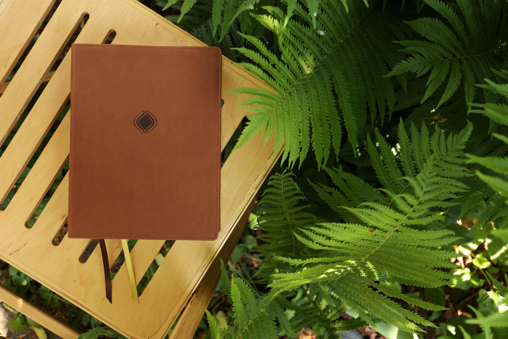 Amplified Journal the Word Bible, Double-Column Journal Edition, Leathersoft, Brown: Reflect, Take Notes, or Create Art Next to Your Favorite Verses: Reflect, Take Notes, or Create Art Next to Your Favorite Verses