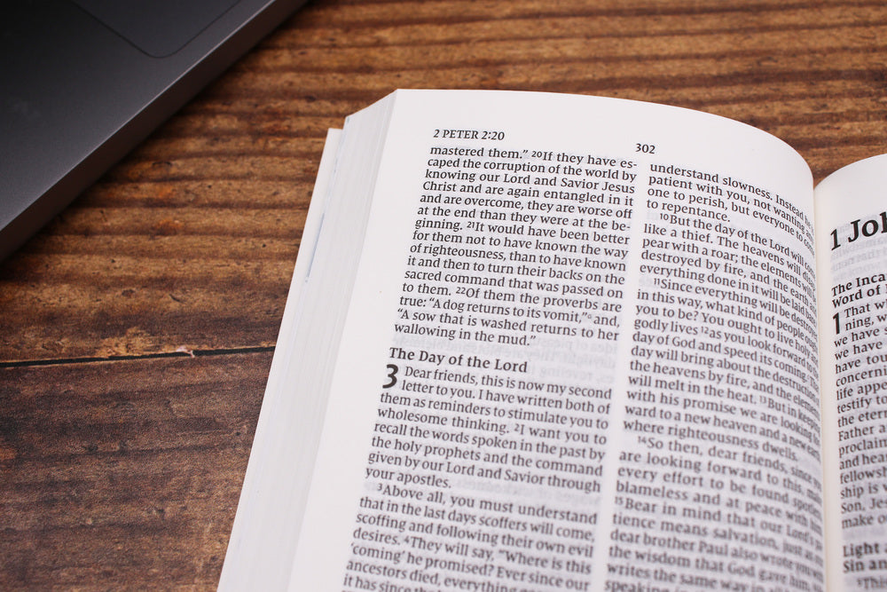 NIV, Hope for the Future New Testament with Psalms and Proverbs, Pocket-Sized, Paperback, Comfort Print: Help and Encouragement When Experiencing an Unplanned Pregnancy