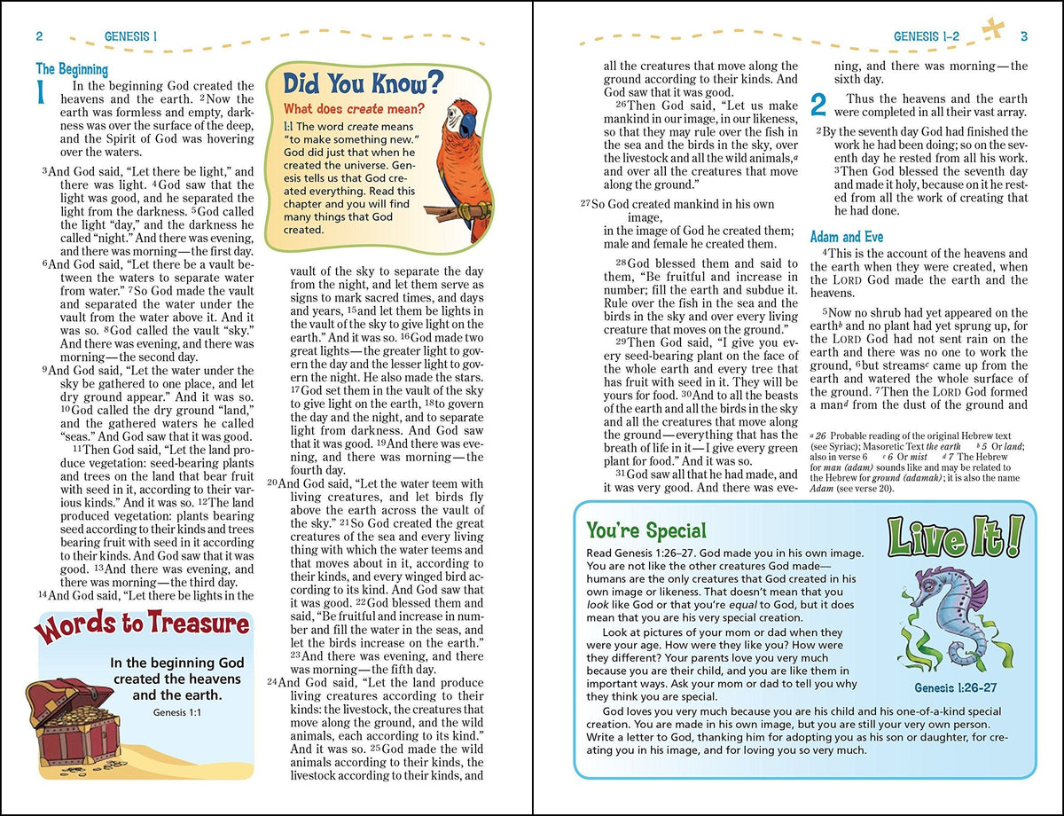 NIV, Adventure Bible, Full Color Interior