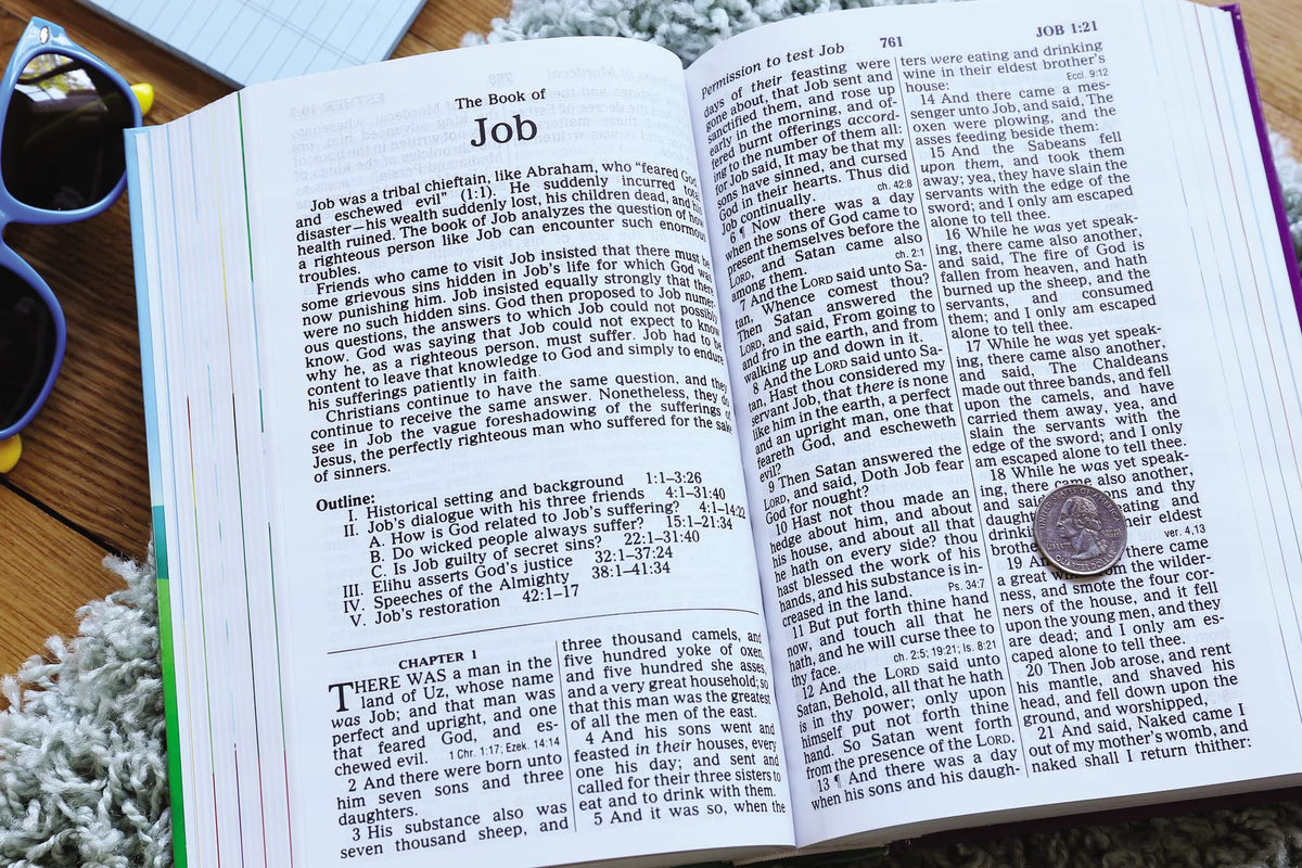 KJV, The Beginner's Bible Holy Bible, Hardcover