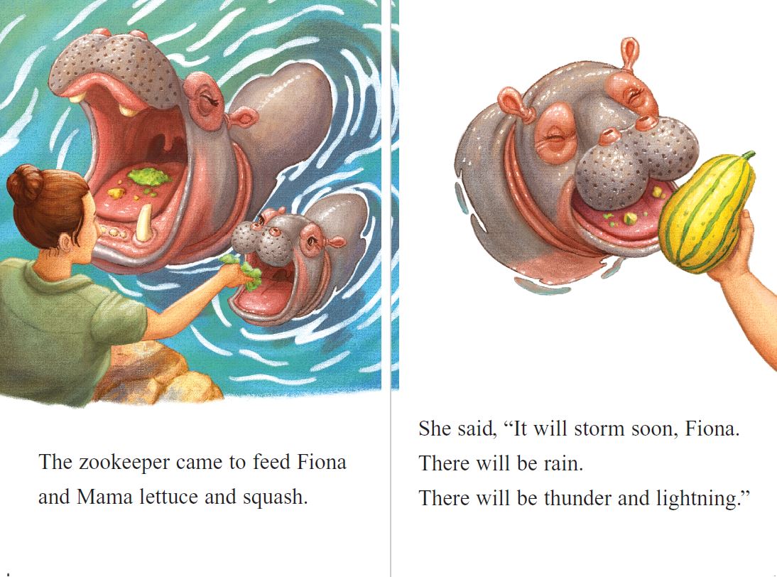Fiona and the Rainy Day: Level 1