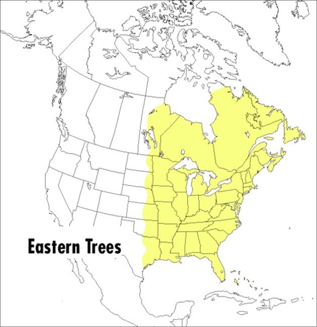 9780395904558