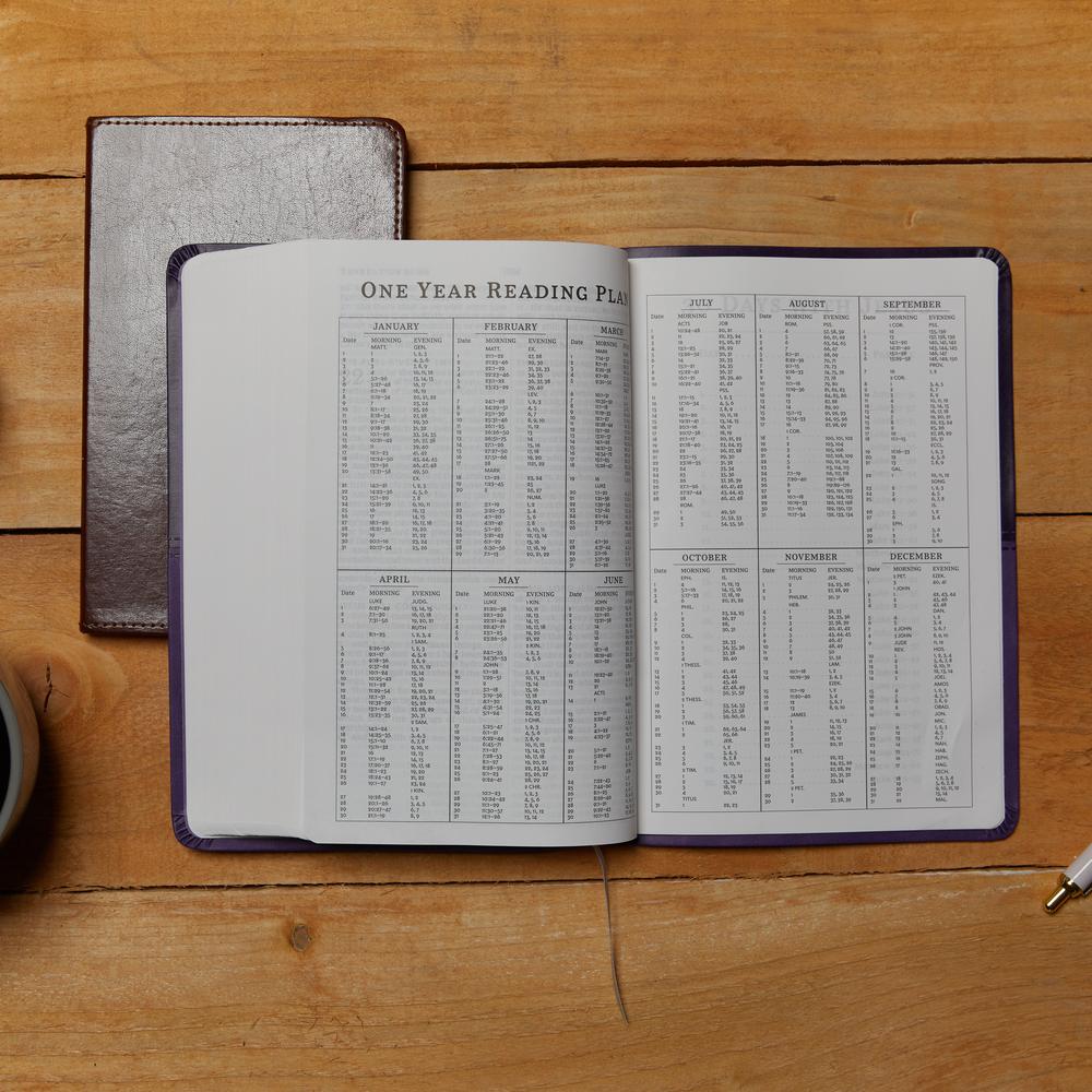 KJV, Value Thinline Bible, Large Print, Red Letter Edition, Comfort Print