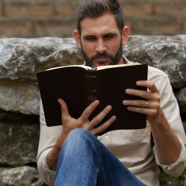 KJV, Open Bible, Red Letter Edition, Comfort Print