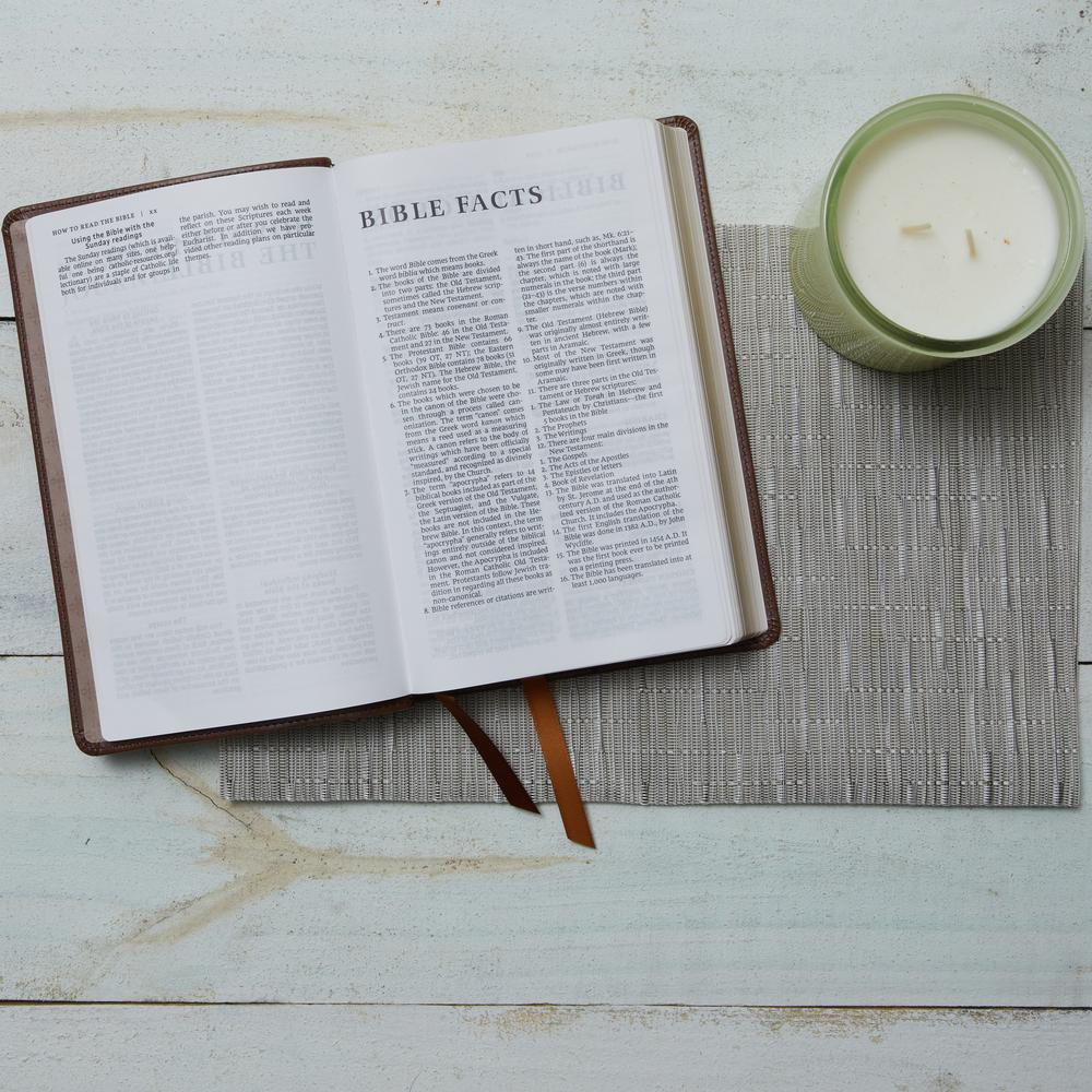 NRSV, Catholic Bible, Gift Edition, Comfort Print: Holy Bible