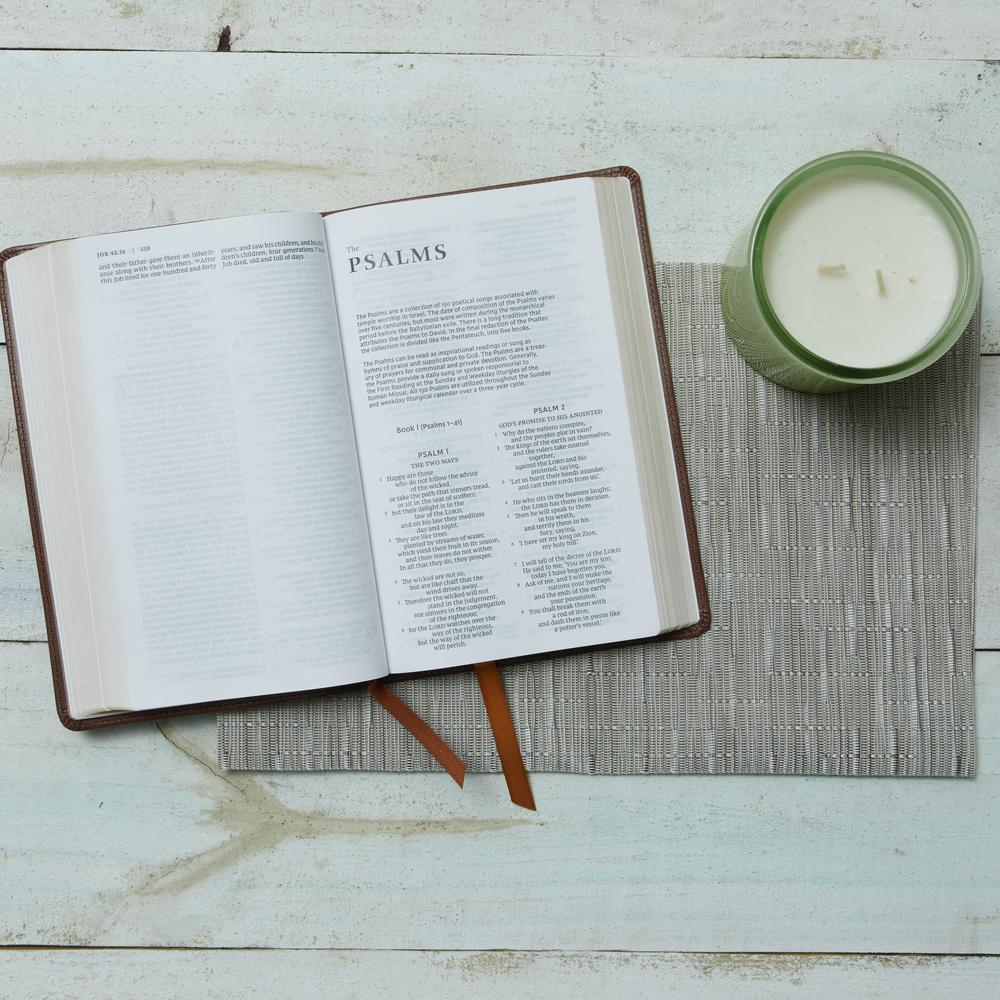 NRSV, Catholic Bible, Gift Edition, Comfort Print: Holy Bible