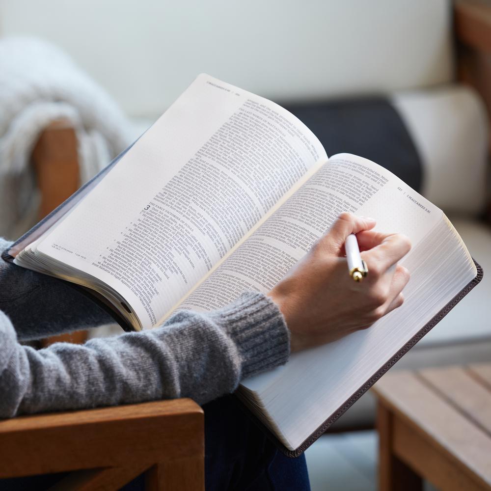 NRSV, Catholic Bible, Journal Edition, Comfort Print: Holy Bible, New Revised Standard Version