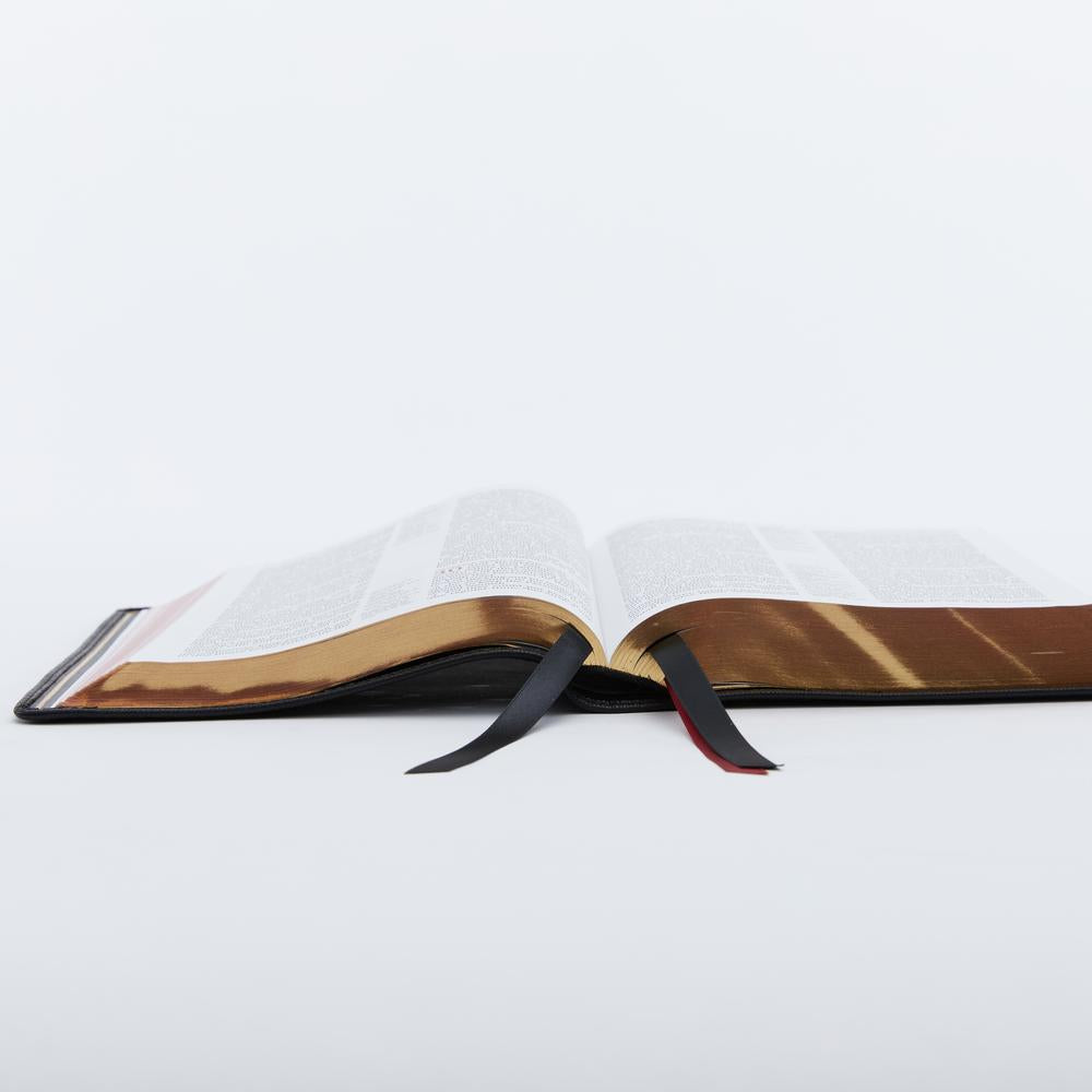 NKJV, Thinline Reference Bible, Large Print, Premier Collection, Comfort Print: Holy Bible, New King James Version