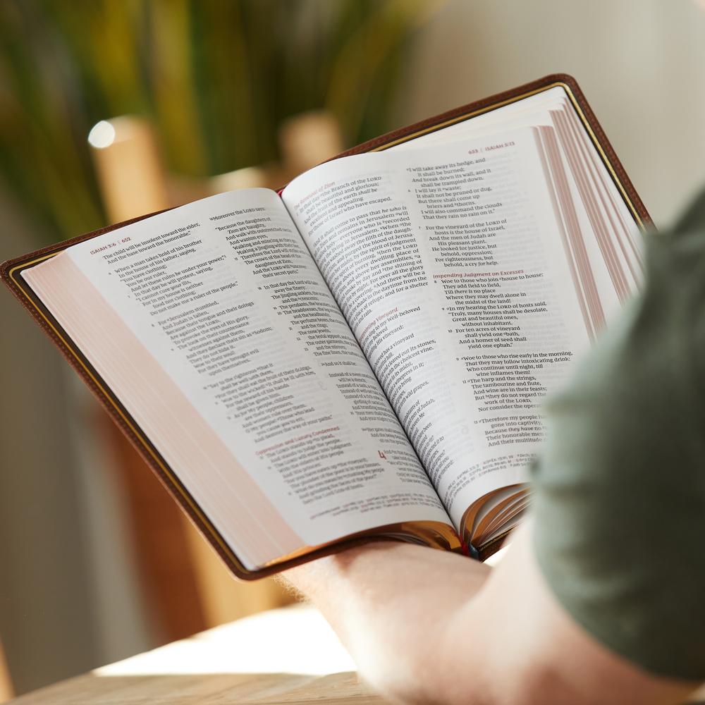 NKJV, Thinline Reference Bible, Large Print, Premier Collection, Comfort Print: Holy Bible, New King James Version