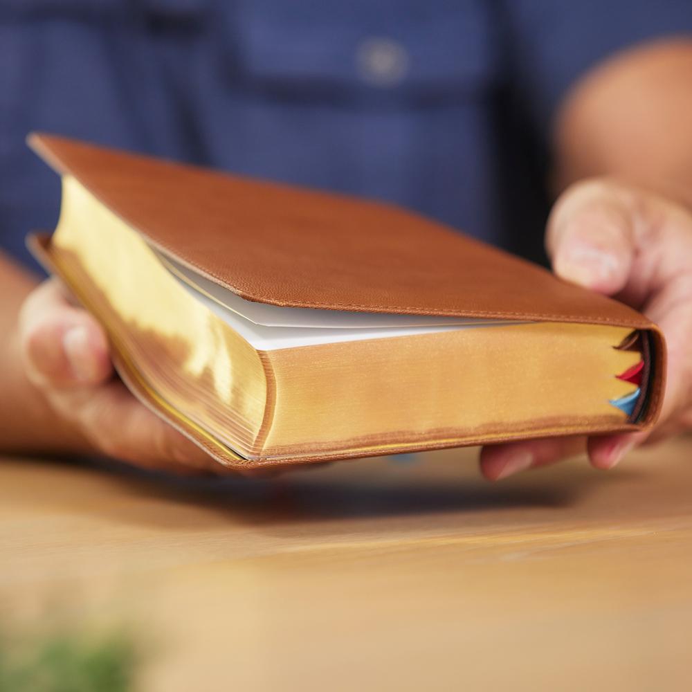 NKJV, End-of-Verse Reference Bible, Personal Size Large Print, Premium Goatskin Leather, Brown, Premier Collection, Red Letter, Comfort Print: Holy Bible, New King James Version