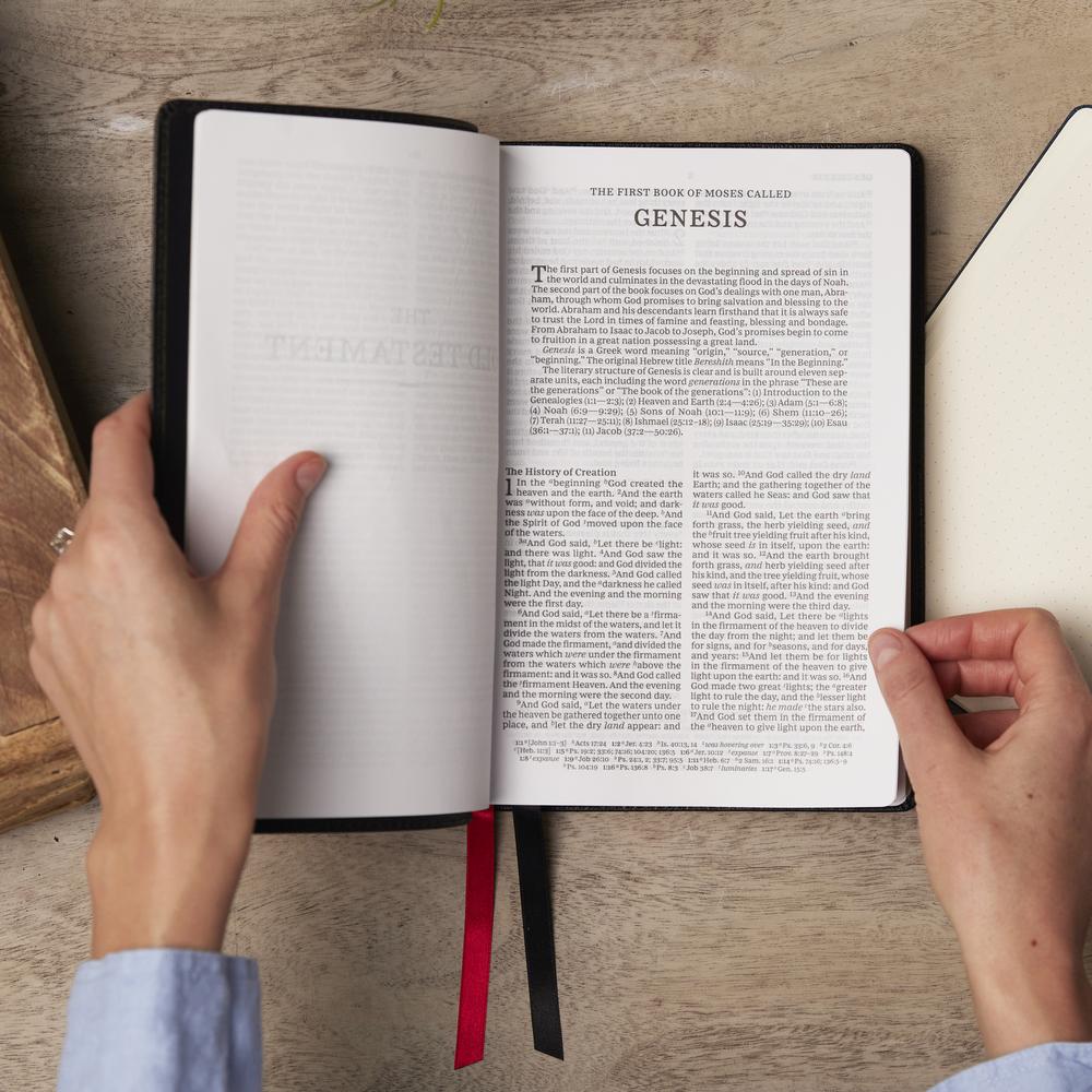 KJV, Paragraph-style Large Print Thinline Bible, Red Letter, Comfort Print