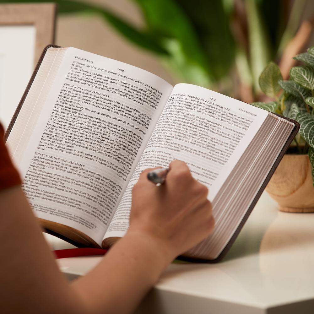 KJV, Personal Size Large Print Single-Column Reference Bible, Red Letter Edition, Comfort Print
