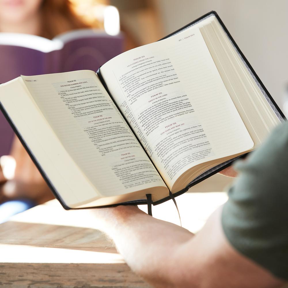 KJV, Journal Reference Edition Bible, Verse Art Cover Collection, Brown Leathersoft, Red Letter, Comfort Print: Let Scripture Explain Scripture. Reflect on What You Learn.