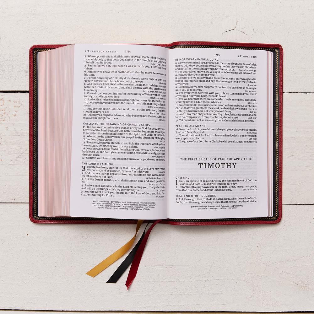 KJV, Personal Size Large Print Single-Column Reference Bible, Premium Goatskin Leather, Red, Premier Collection, Red Letter, Comfort Print