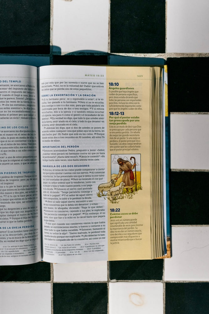 NBLA, Biblia visual de estudio para niños: Explora la Biblia: personajes, lugares e historia
