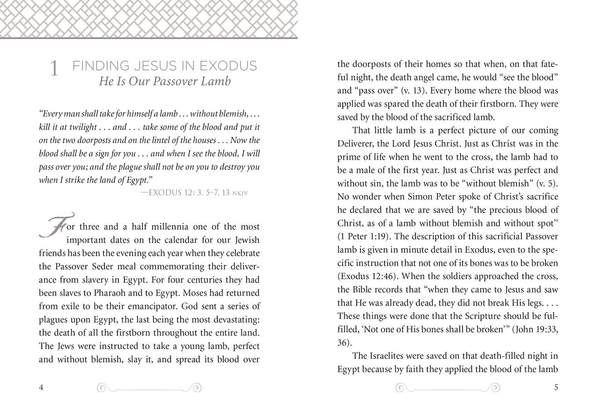 The Bible Code: Finding Jesus in Every Book in the Bible