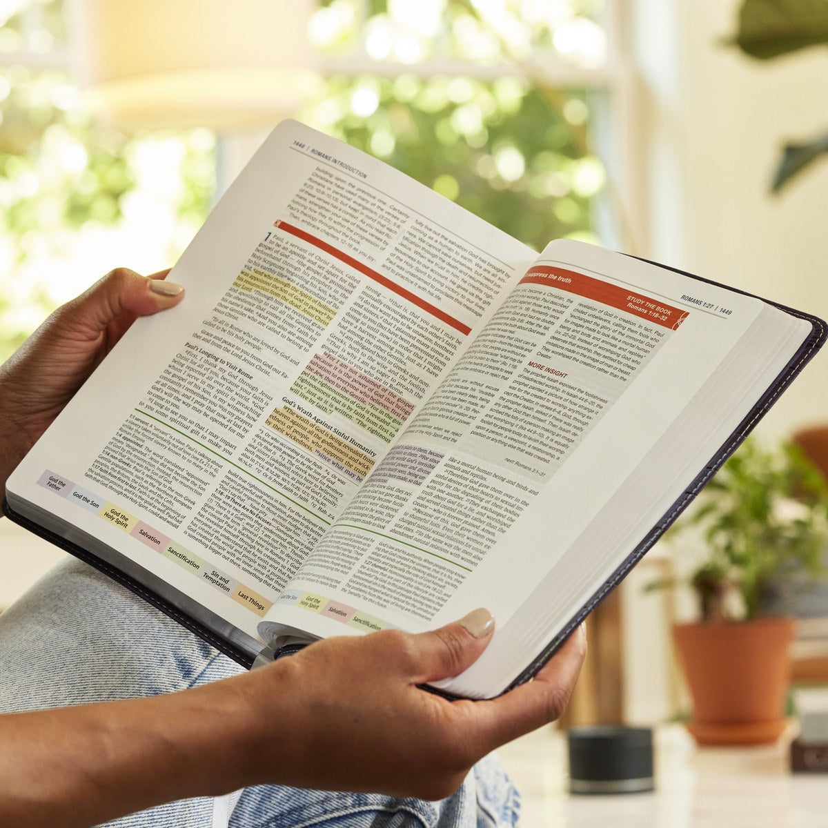Color Code Study Bible, Revealing God's Truth Color by Color (NIV, Red Letter, Comfort Print)