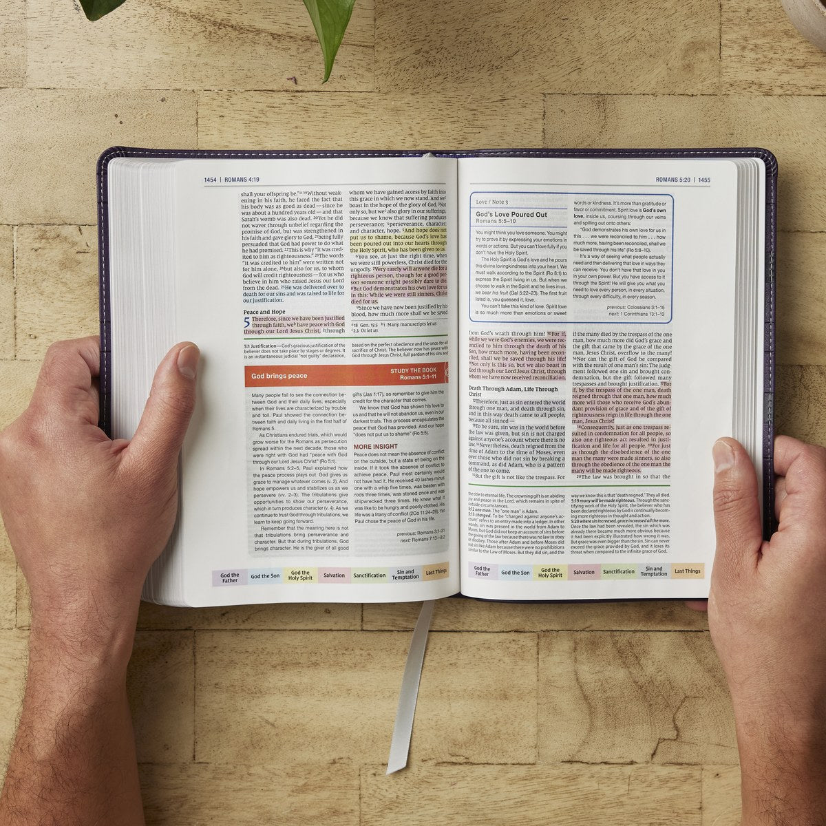 Color Code Study Bible, Revealing God's Truth Color by Color (NIV, Red Letter, Comfort Print)