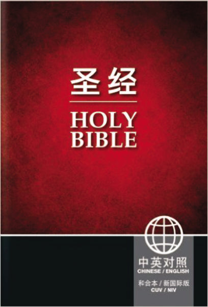 9781563208249