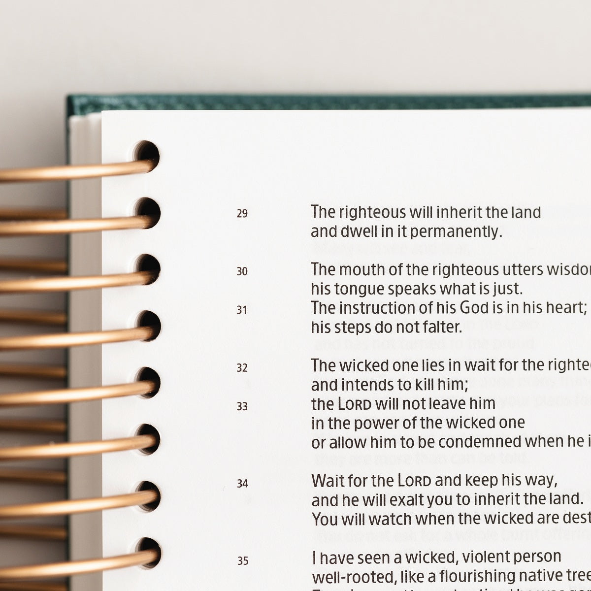 CSB, Spiral-bound Illustrating Bible, Leathersoft Spiral, Green: Draw, Write, and Reflect Your Way Through Scripture