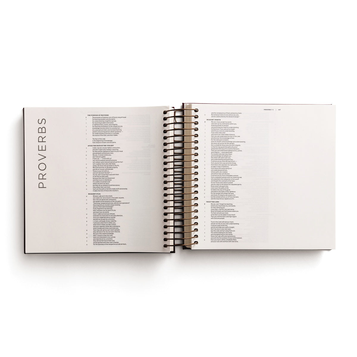 CSB, Spiral-bound Illustrating Bible, Leathersoft Spiral, Cranberry: Draw, Write, and Reflect Your Way Through Scripture