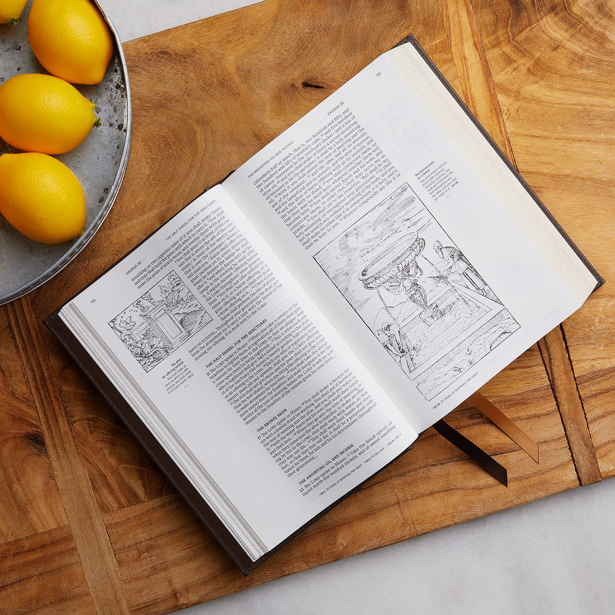 NRSVCE, Illustrated Catholic Bible, Comfort Print: Holy Bible